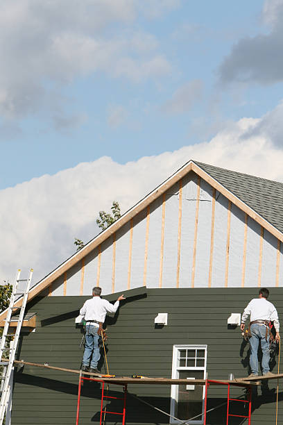 Best Hoarding Cleanup  in Olean, NY