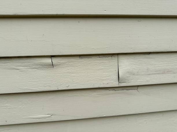Best Garage Cleanout  in Olean, NY